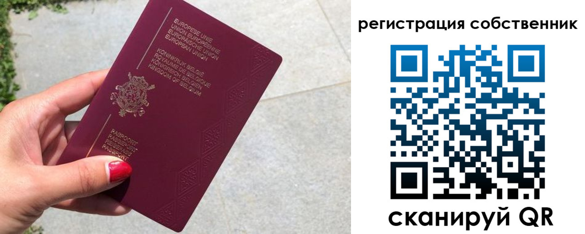 временная регистрация поиск в Сельцо